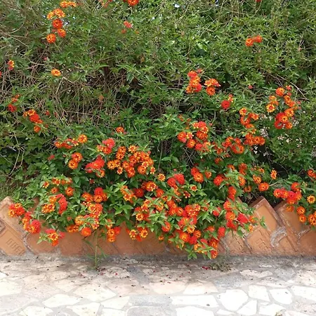 Holiday home Casa Del Gelso Tra Palermo E Cefalu